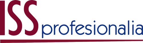 INFORMATION SYSTEMS SERVICES  PROFESIONALIA